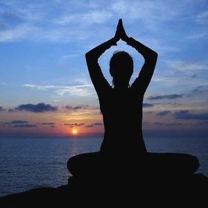 Meet your Posher, Heidi